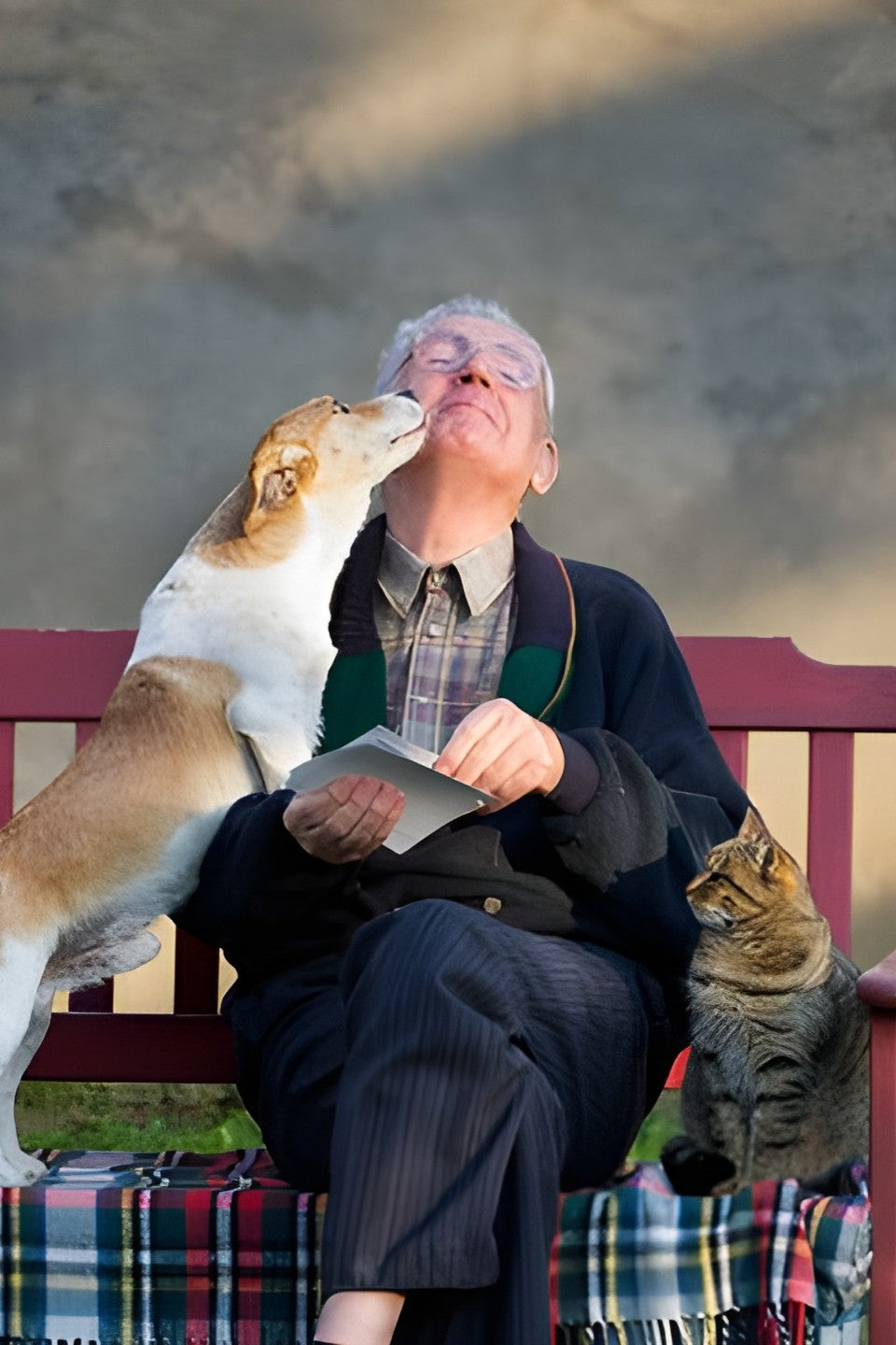 Pets